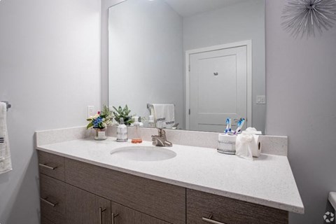 a bathroom with a sink and a large mirror