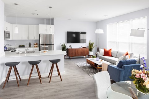 a living room and kitchen in a modern apartment