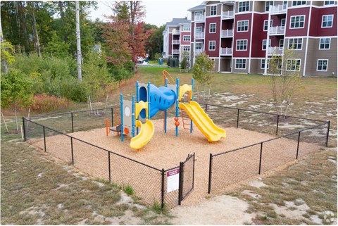 A playground with a yellow slide and a blue slide.