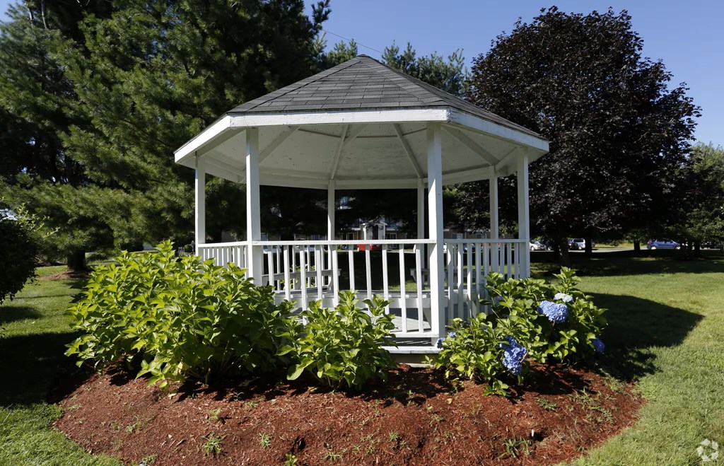 A white gazebo with a black roof is surrounded by green plants and trees.