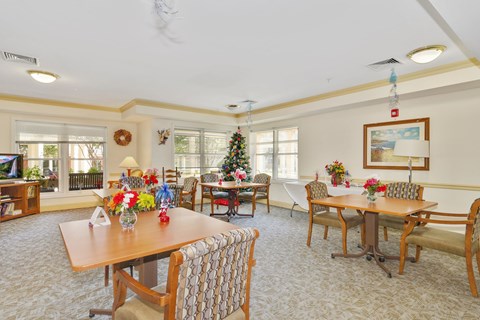 A living room with a Christmas tree and a dining table with chairs.