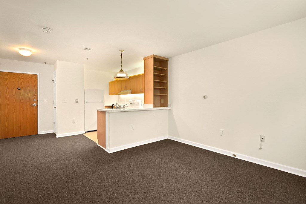 A room with a white counter and brown carpet.