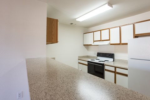 A kitchen with a stove and a refrigerator.
