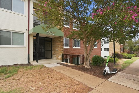 A building with a green awning and a tree with pink flowers in front.