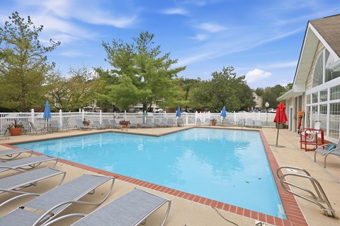 A large outdoor swimming pool surrounded by sun loungers and trees.