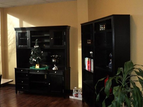 A black cabinet with a small Christmas tree on top of a dresser.