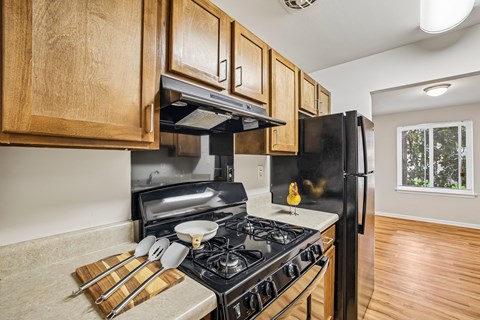 A kitchen with a black refrigerator, stove, and wooden cabinets.
