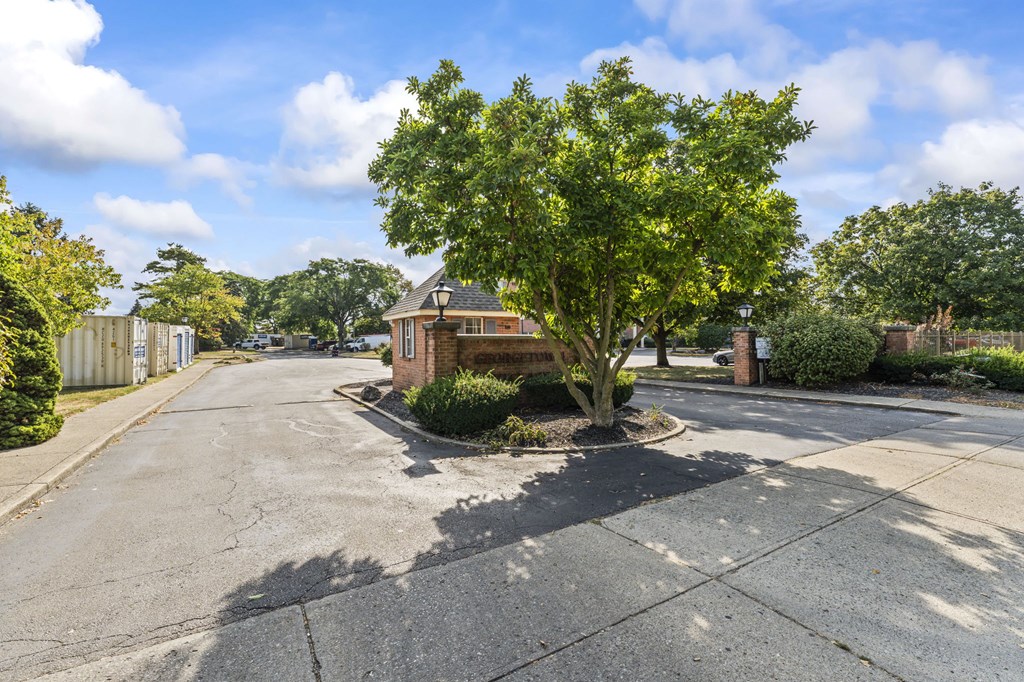 A tree in front of a house on a sunny day.