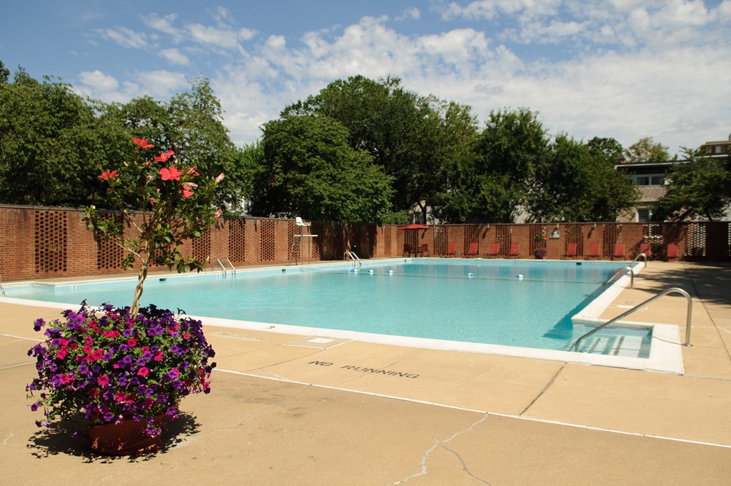 A pool surrounded by a fence with a flower pot in the foreground.