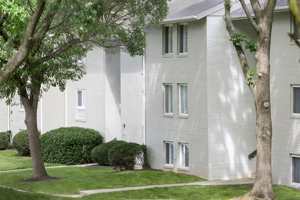 A white building with a tree in front of it.