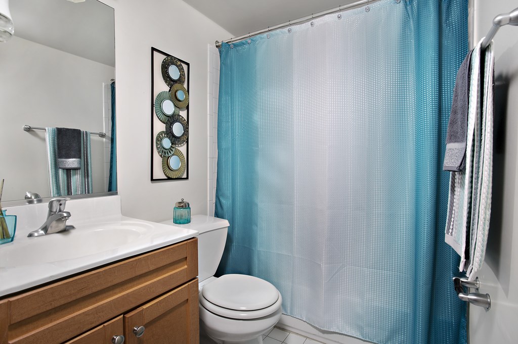 A bathroom with a white sink, a toilet, a blue shower curtain, and a mirror.