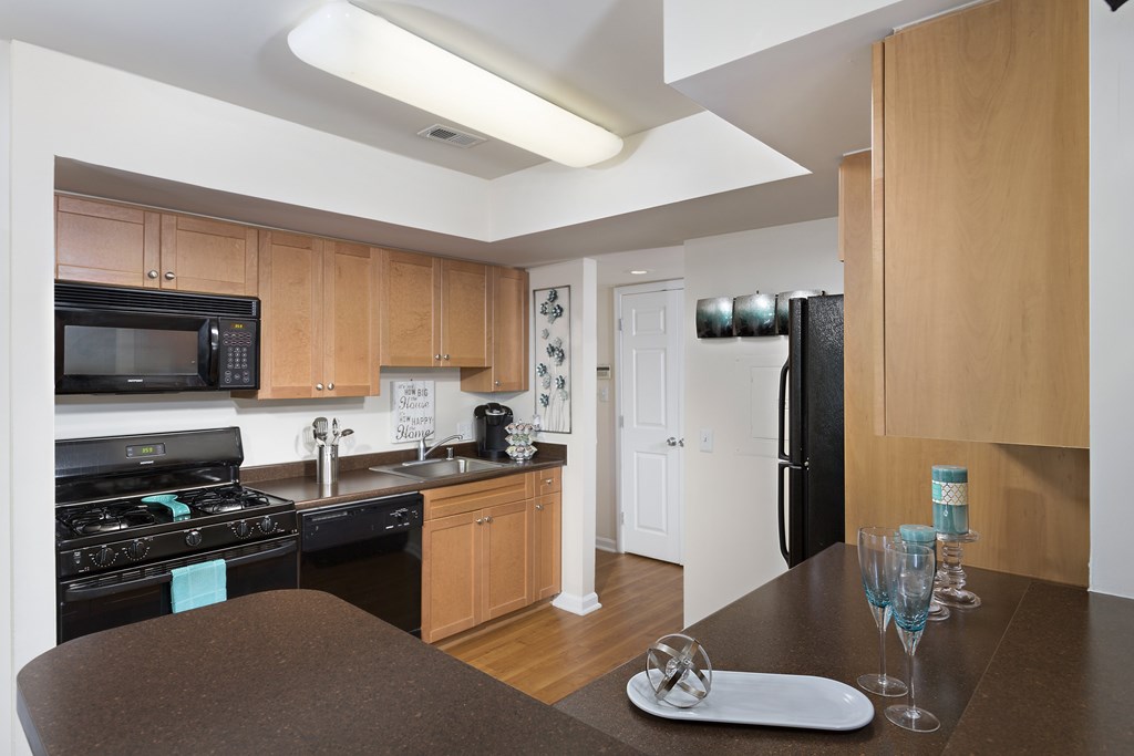 A kitchen with a black refrigerator and a black stove.