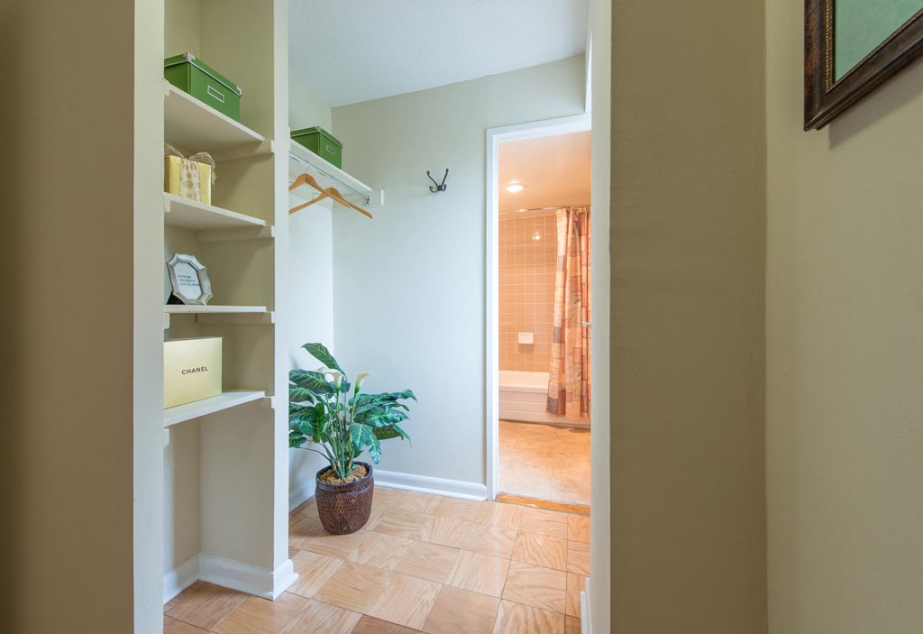 A hallway with a potted plant and a mirror on the wall.