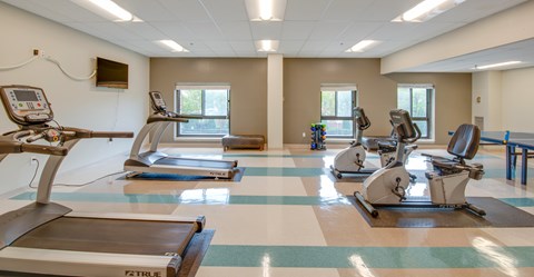 A gym with treadmills and elliptical machines.