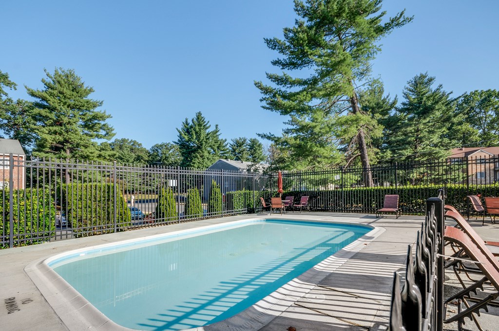 A pool surrounded by trees and chairs.