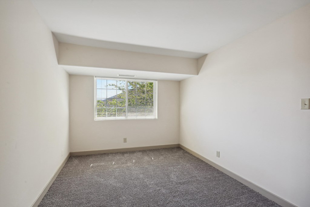 A room with a window and a carpeted floor.