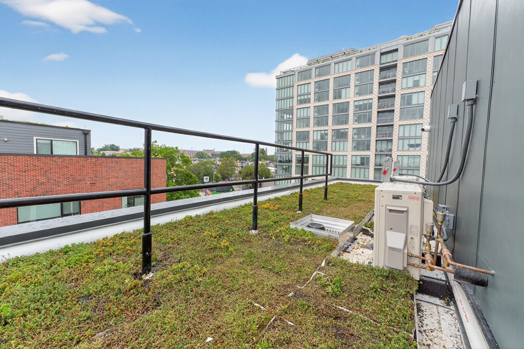 A rooftop with a metal railing and a green planted area.