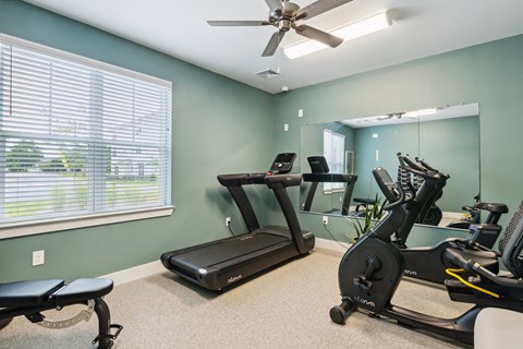 A room with a treadmill, exercise bike, and mirror.