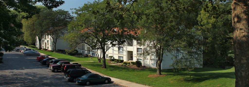 A tree-lined street with cars parked on the side.