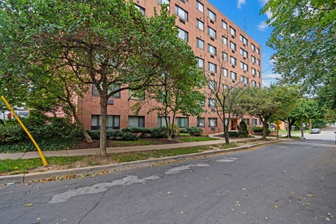 A tree with green leaves is in front of a red brick building.