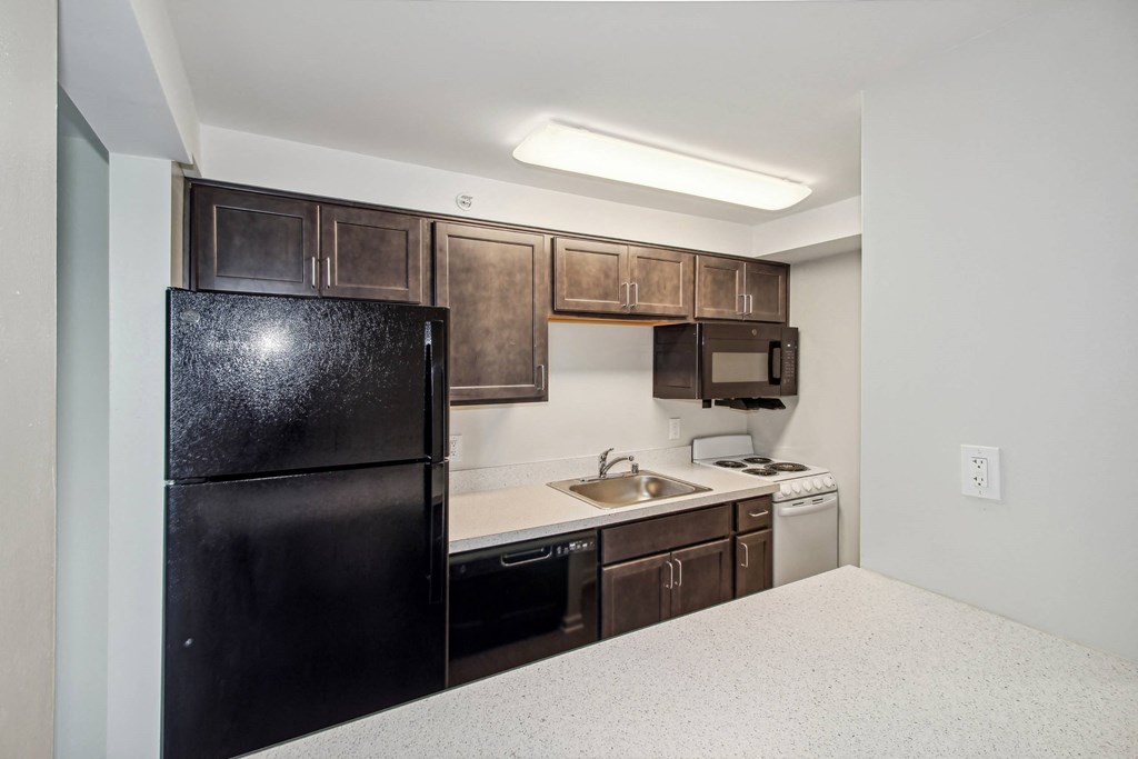 a kitchen with a black refrigerator and a sink