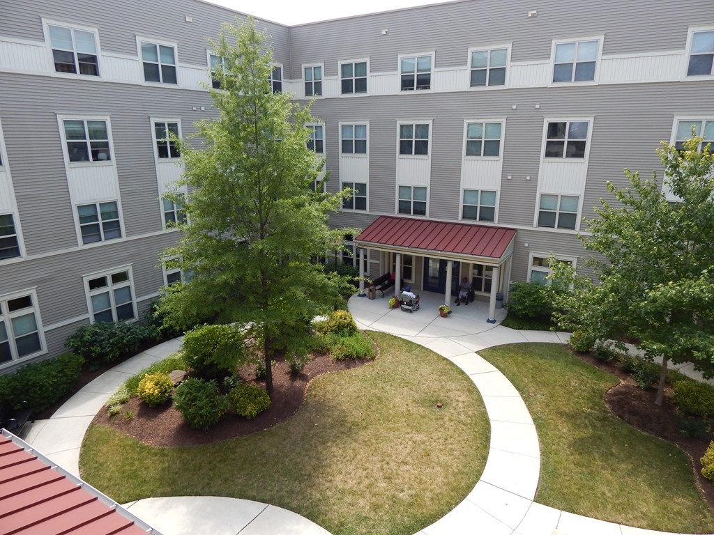 A courtyard with a tree and a building in the background.