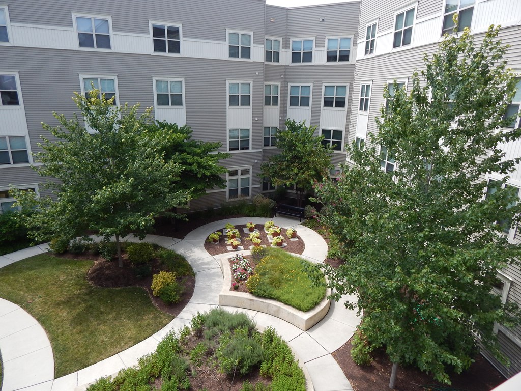 A courtyard with a circular garden and a building in the background.