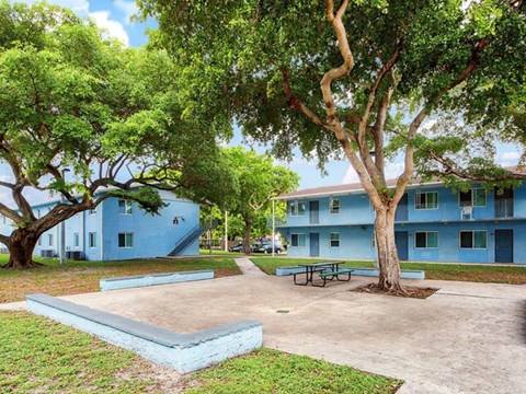 A tree in front of a blue building.