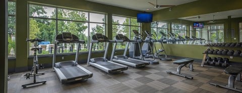 A gym with treadmills, exercise bikes, and weights.