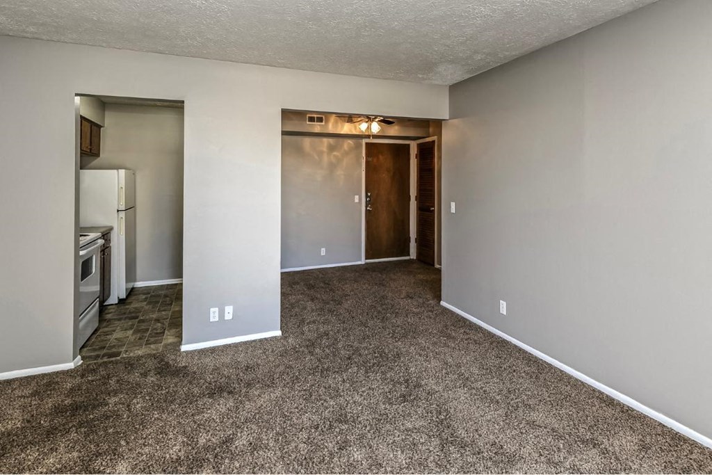 a living room with a kitchen and a carpeted floor