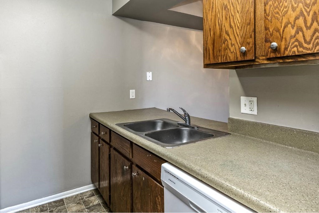a kitchen with a sink and a dishwasher