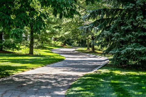 a path through a park with trees