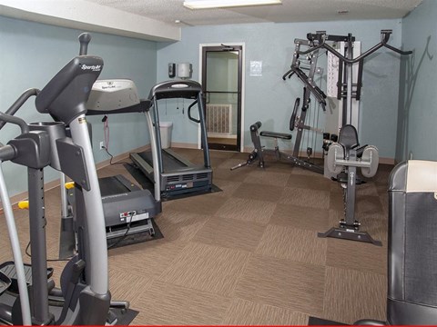a gym with exercise equipment in a home gym