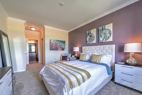a bedroom with a bed and a closet