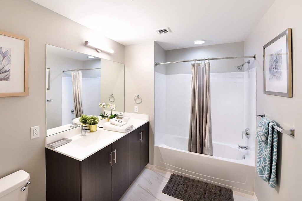 A bathroom with a white counter top and a shower with a glass door at Two Twelve Clayton Apartments, Clayton, MO, 63105