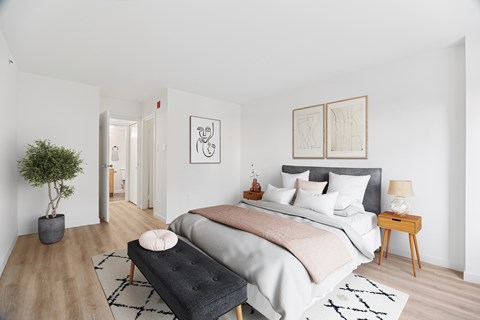 A bedroom with a large bed and a small tree.