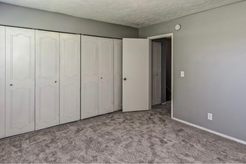 a bedroom with closets and a door to a closet