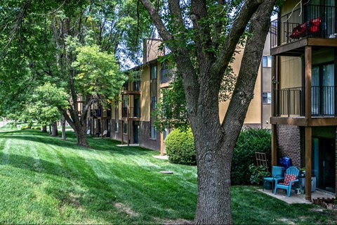 our apartments have a spacious courtyard with trees and green grass