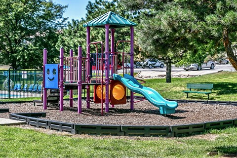 a playground with a slide and other toys in a park