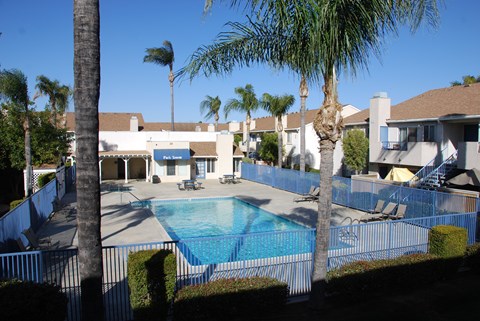 A pool surrounded by palm trees and a fence.
