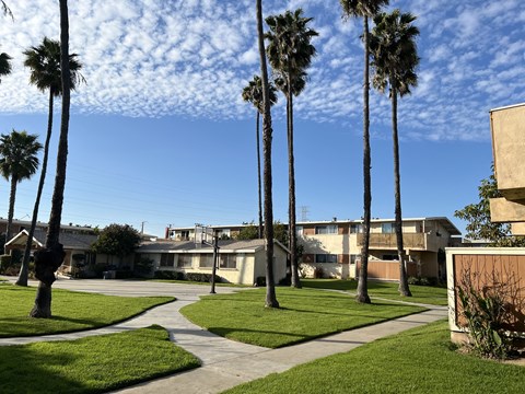 Palm trees line a path in front of a building.