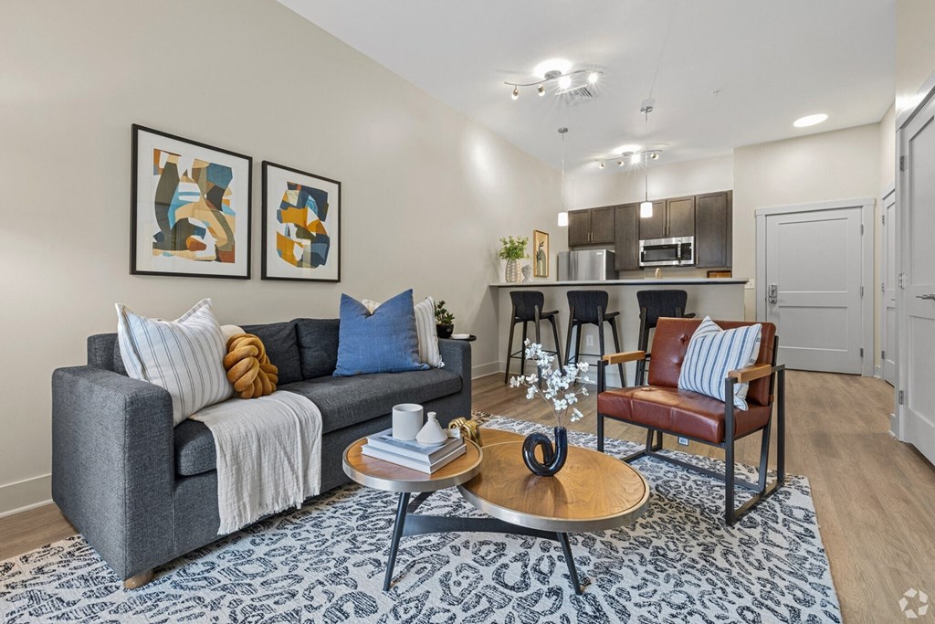 A living room with a grey couch, a coffee table, and a rug.