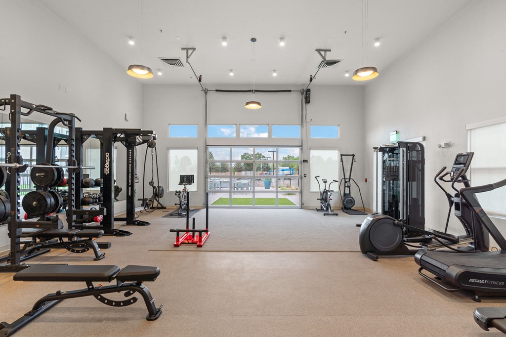 A spacious gym with a variety of equipment including treadmills, weights, and exercise machines.