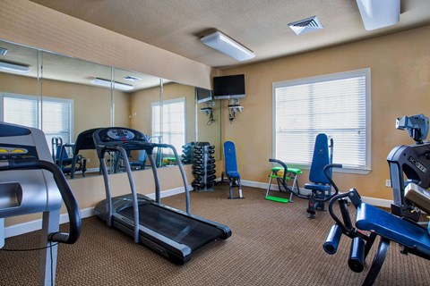 A gym with treadmills, exercise bikes, and other equipment.
