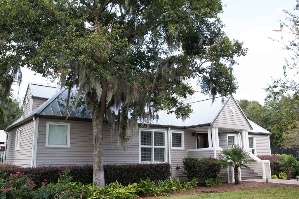 a house with a large tree in front of it