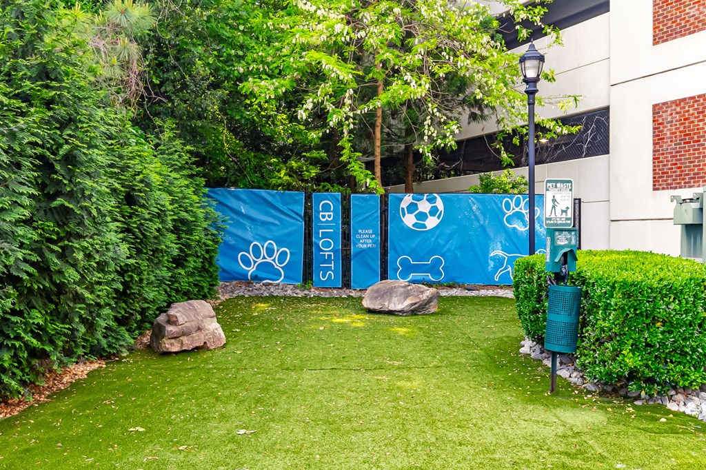 a garden outside of a building with a blue fence