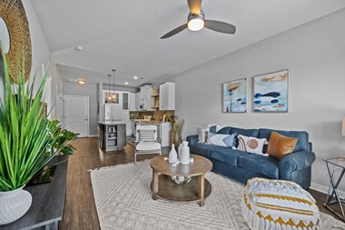 910 Walnut Avenue Studio-2 Beds Apartment for Rent - Photo Gallery 5