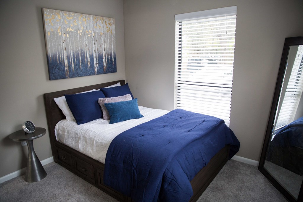this is a photo of the bedroom in a 1 bedroom apartment at deer hill apartments in c