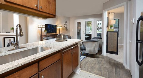 a kitchen and living room with a sink and a television