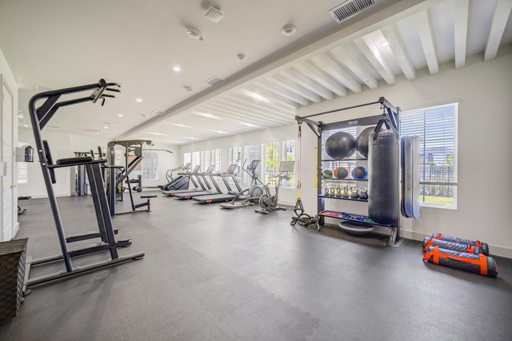 A spacious gym with a variety of equipment including a treadmill, exercise bike, and a punching bag.